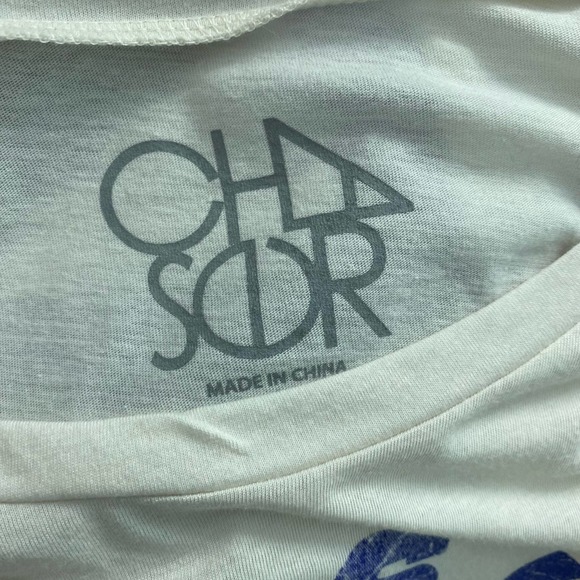 Chaser Tops Chaser Big Sur Graphic Tee Tshirt In Au Lait Poshmark